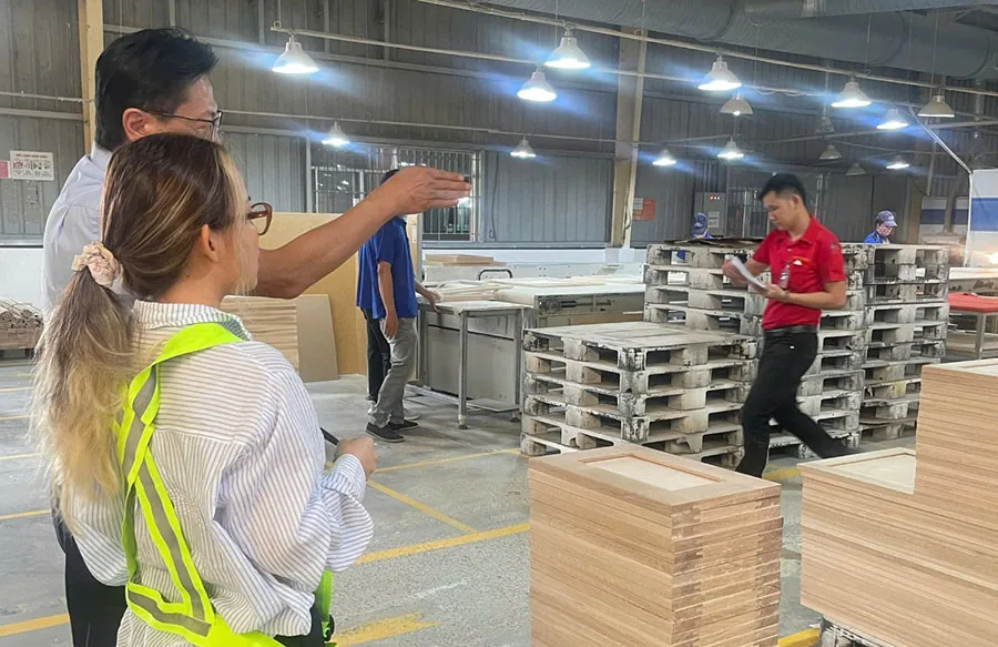 Primo Sourcing team performing an on-site audit of a Vietnam furniture factory : inspectors reviewing plywood stacks and production flow.