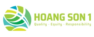 Hoang Son I logo