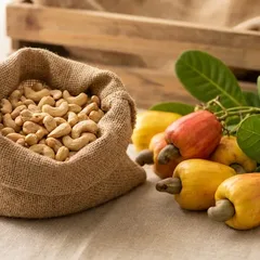 Organic cashew kernels from Vietnam