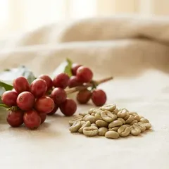 Green arabica from Vietnam