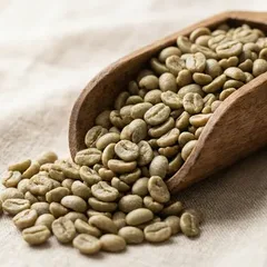 Green robusta from Vietnam